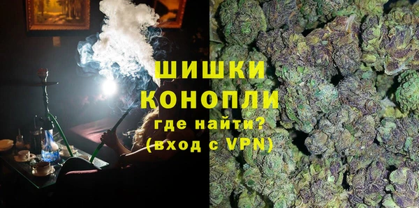 Альфа ПВП Новозыбков